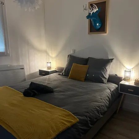 Cosy Face A La Basilique Saint Remi * Reims