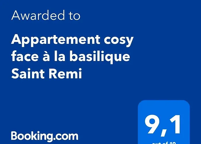 Cosy Face A La Basilique Saint Remi *