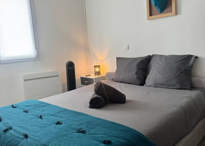 Apartament Cosy Face A La Basilique Saint Remi *