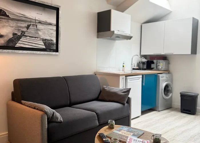 Cosy Face A La Basilique Saint Remi Apartament Reims